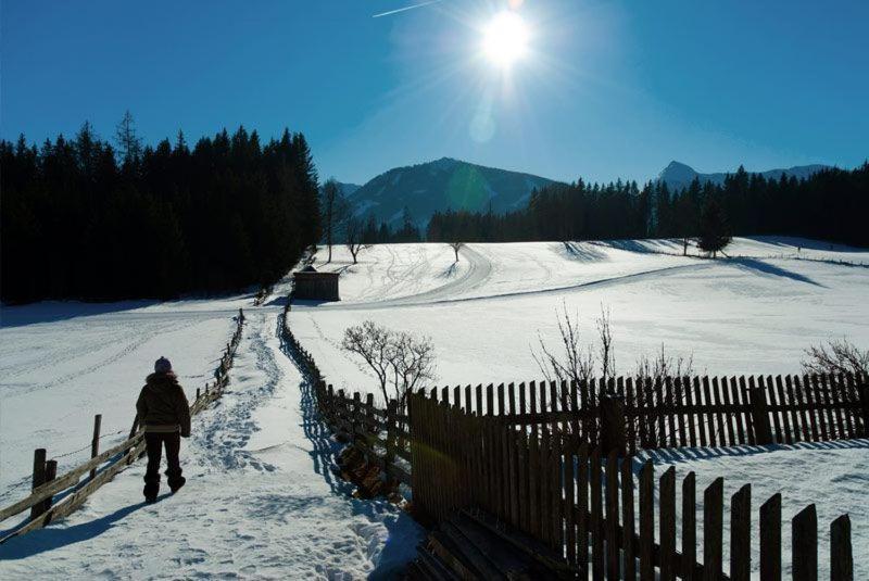 Alpengasthof Fichtenheim Hotel รัมเซา อัม ดาคชไตน์ ภายนอก รูปภาพ